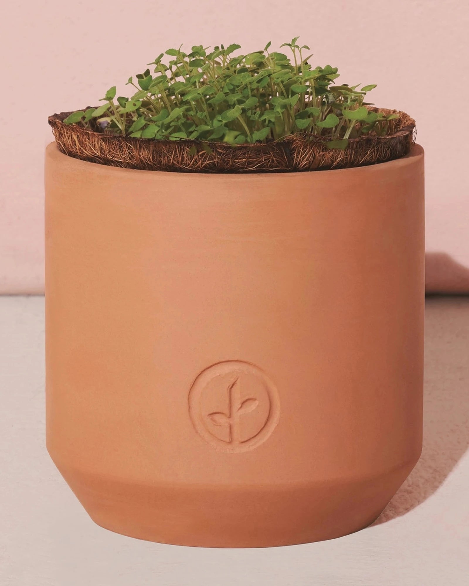 Custom terracotta daisy grow kit thank you gift - 2