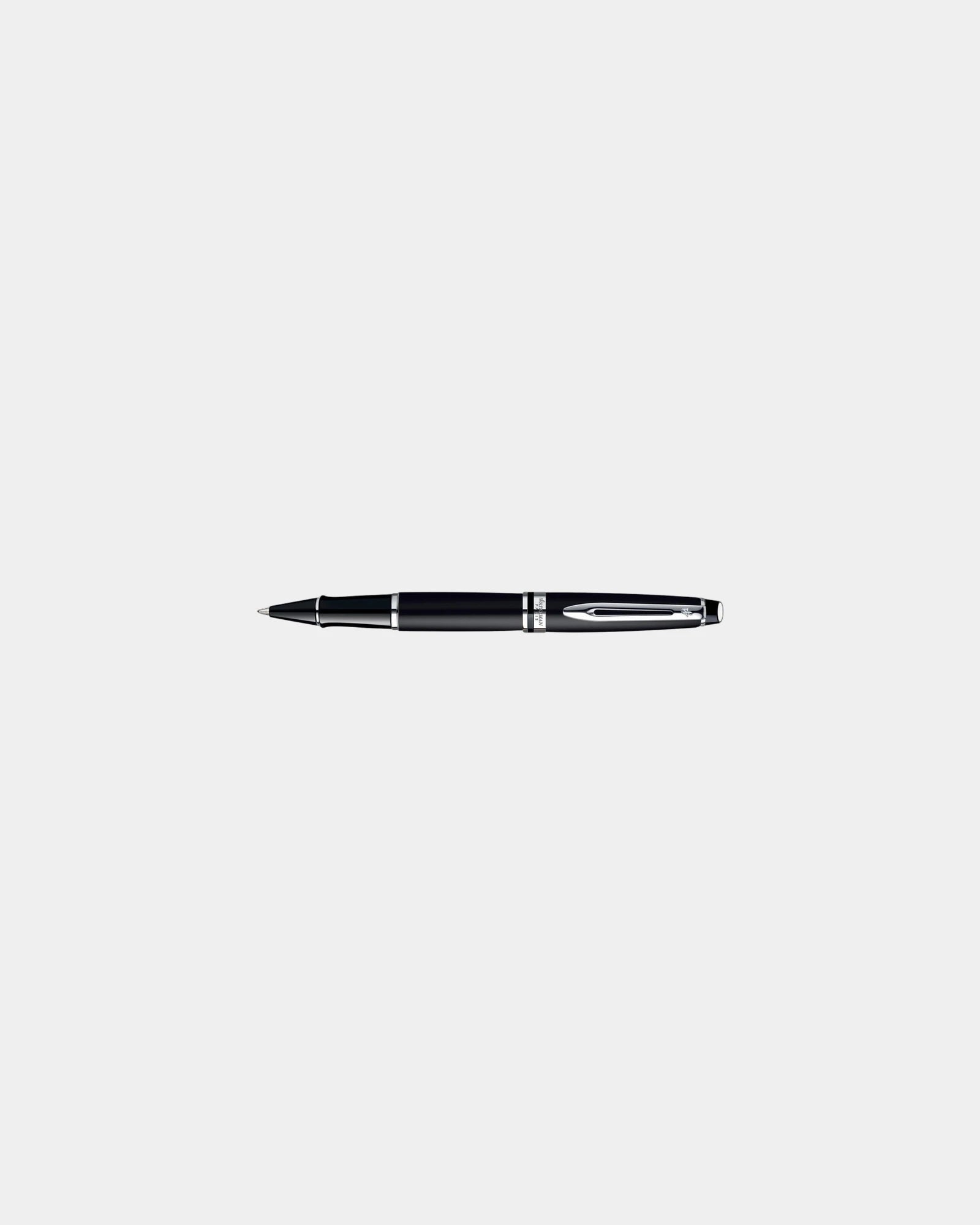 Custom metal Waterman Expert rollerball pen - matte - 1