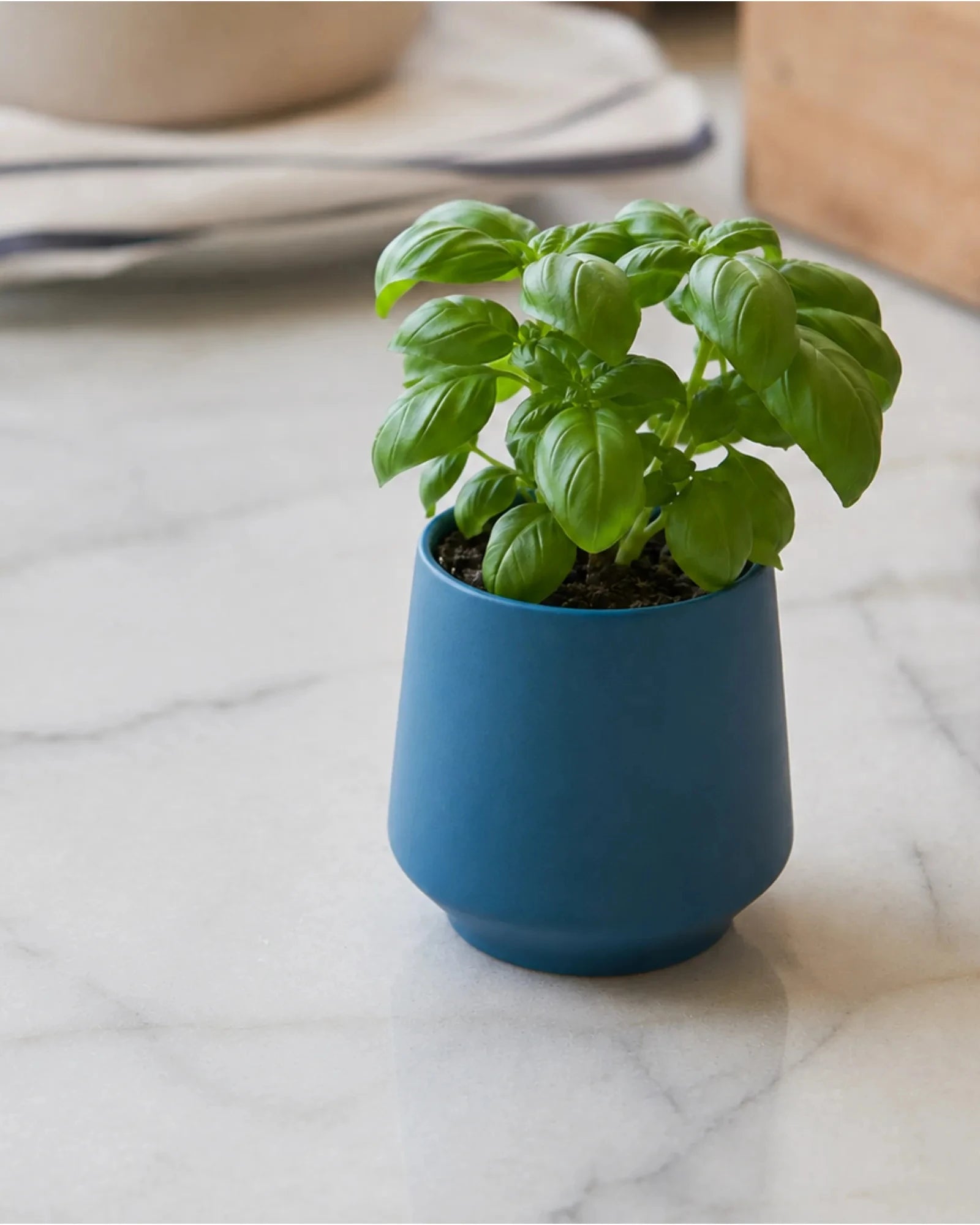 Custom soy-blend candle with ceramic vessel and seeds - 6