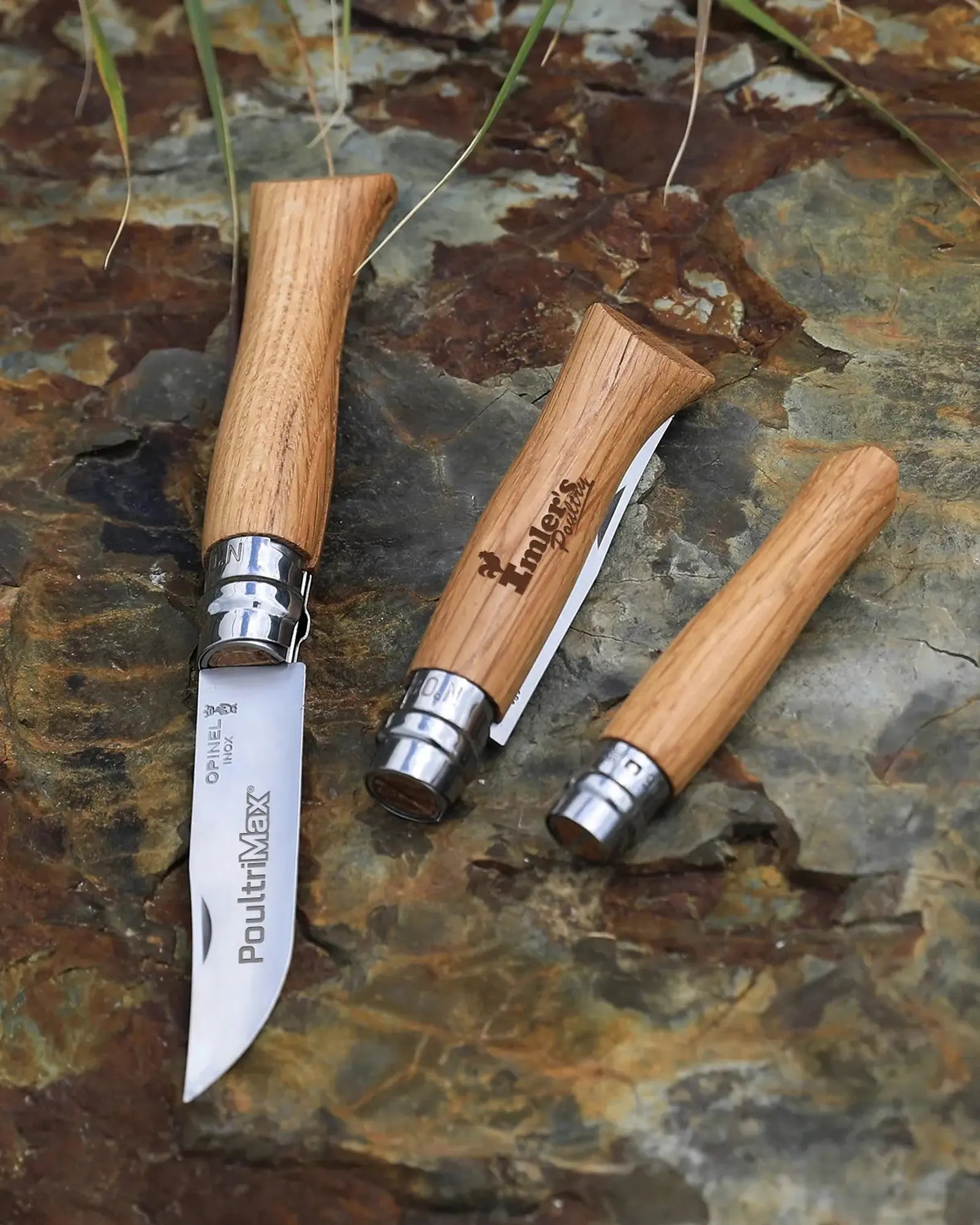 Custom stainless steel Opinel No 08 folding knife - 5