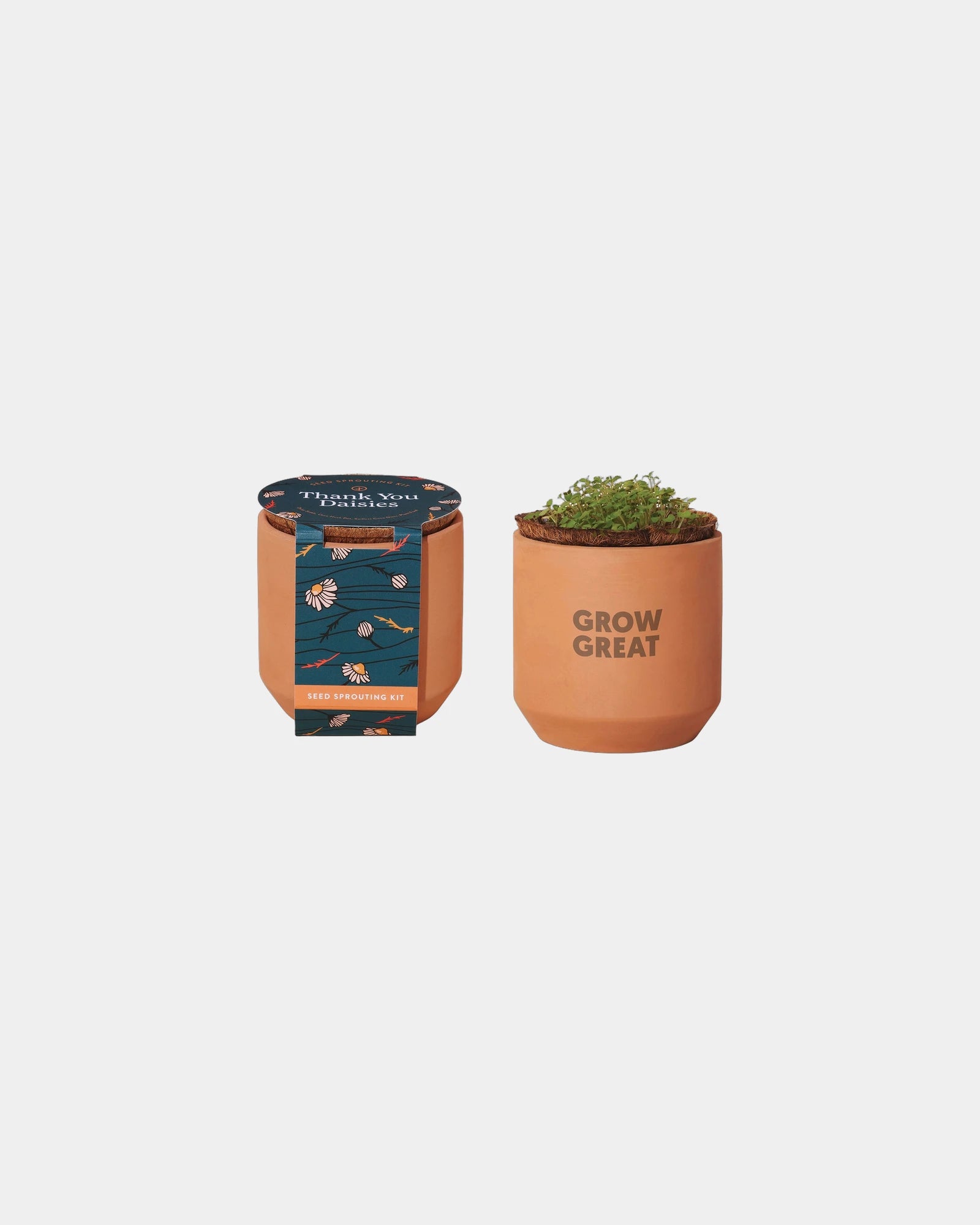 Custom terracotta daisy grow kit thank you gift - Terracotta