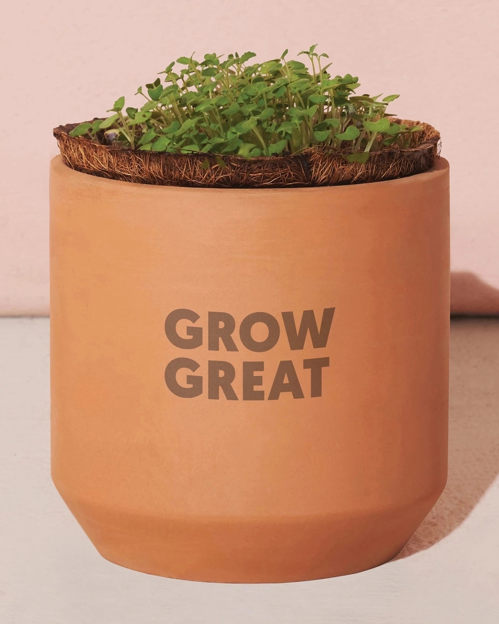 Custom terracotta daisy grow kit thank you gift - 1