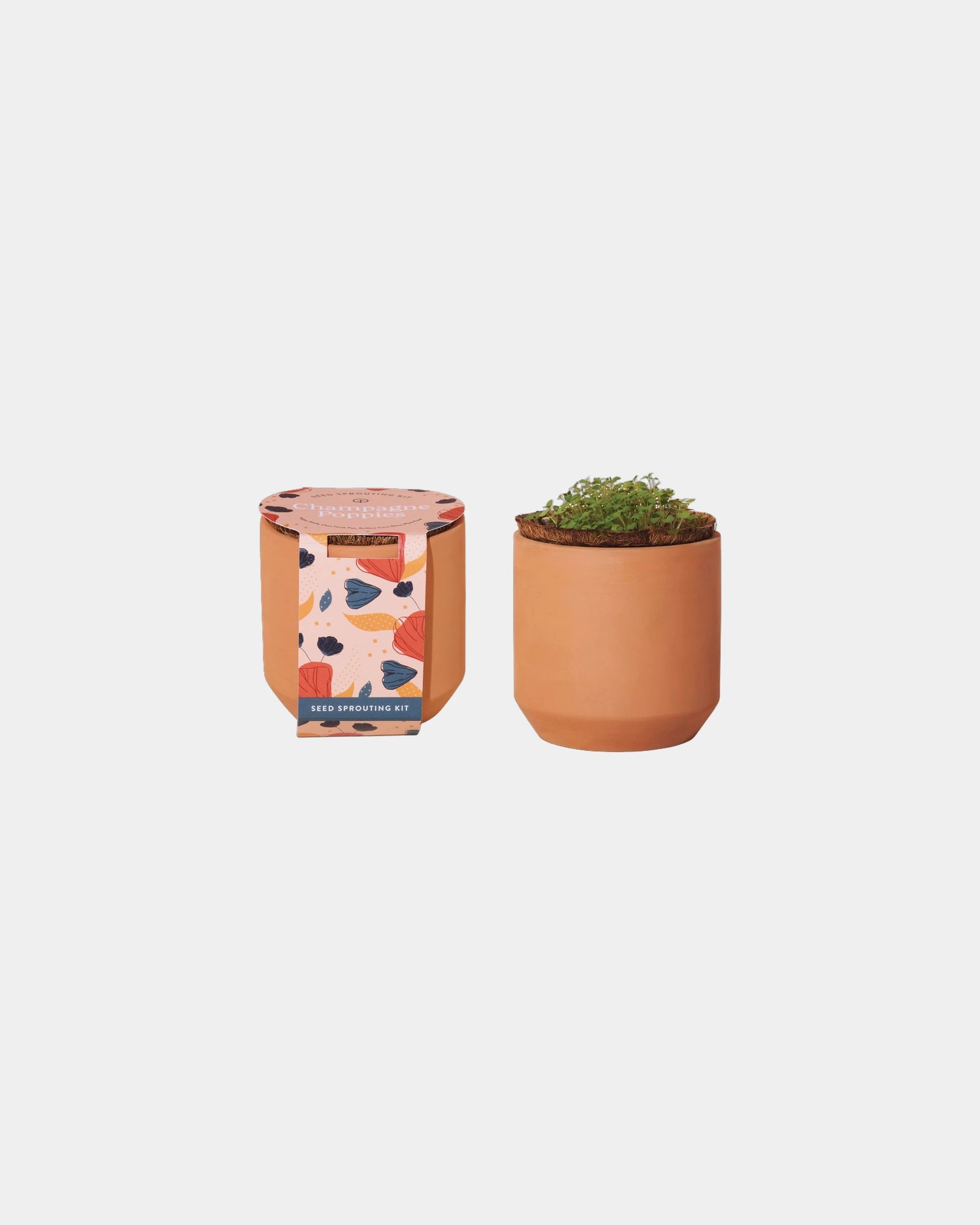 Custom terracotta grow kit champagne poppies planter - Terracotta