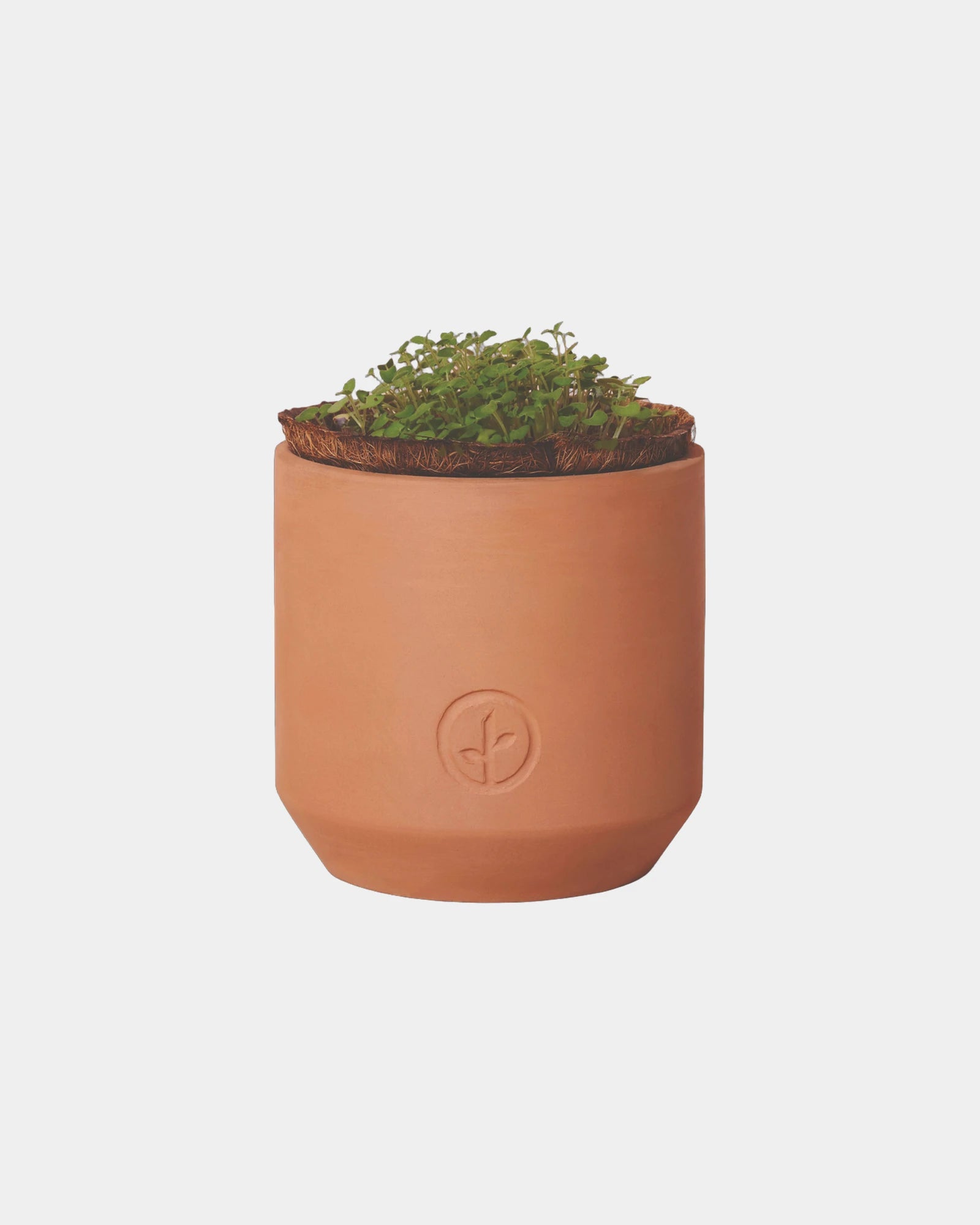 Custom terracotta grow kit champagne poppies planter - 1