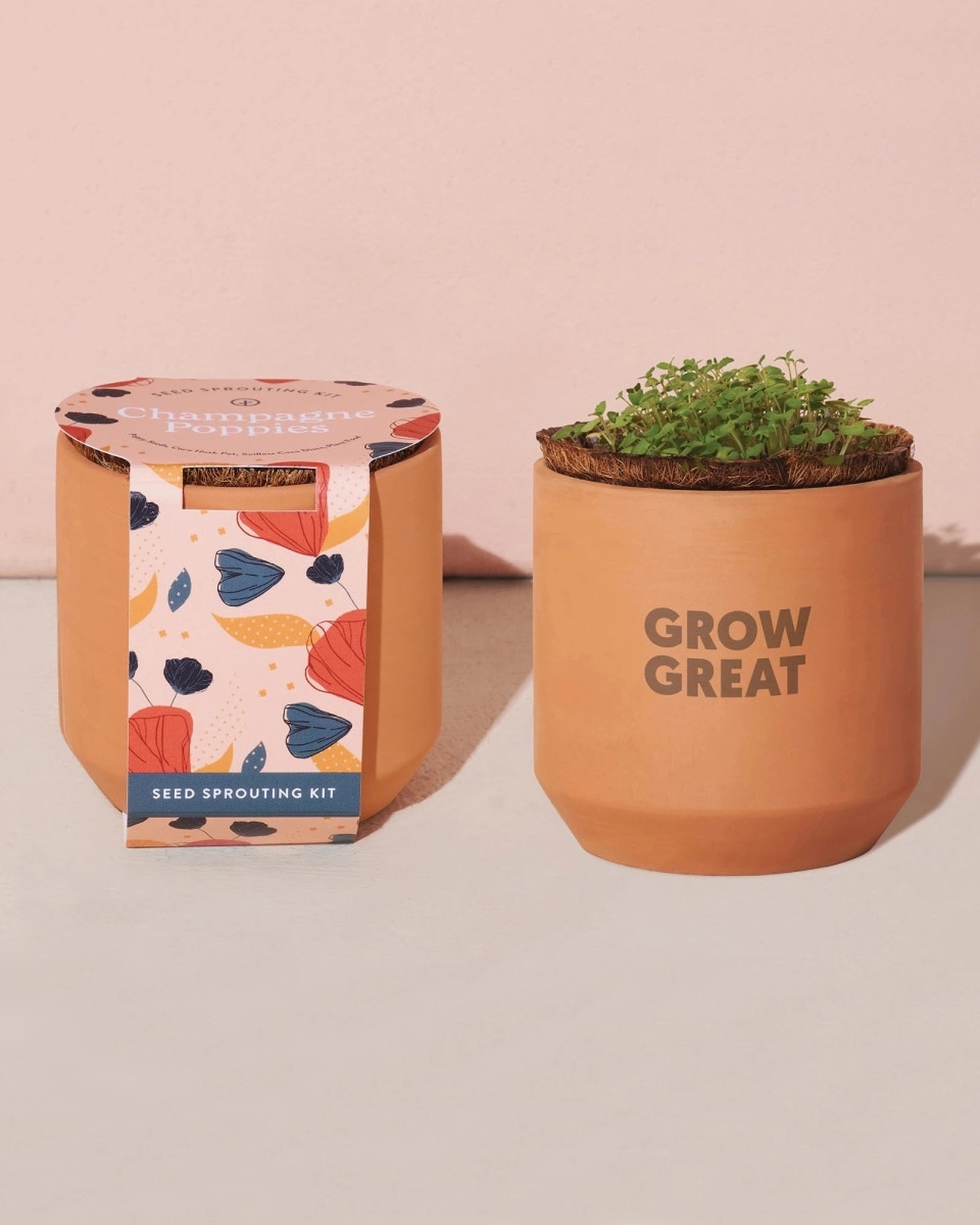 Custom terracotta grow kit champagne poppies planter - 9