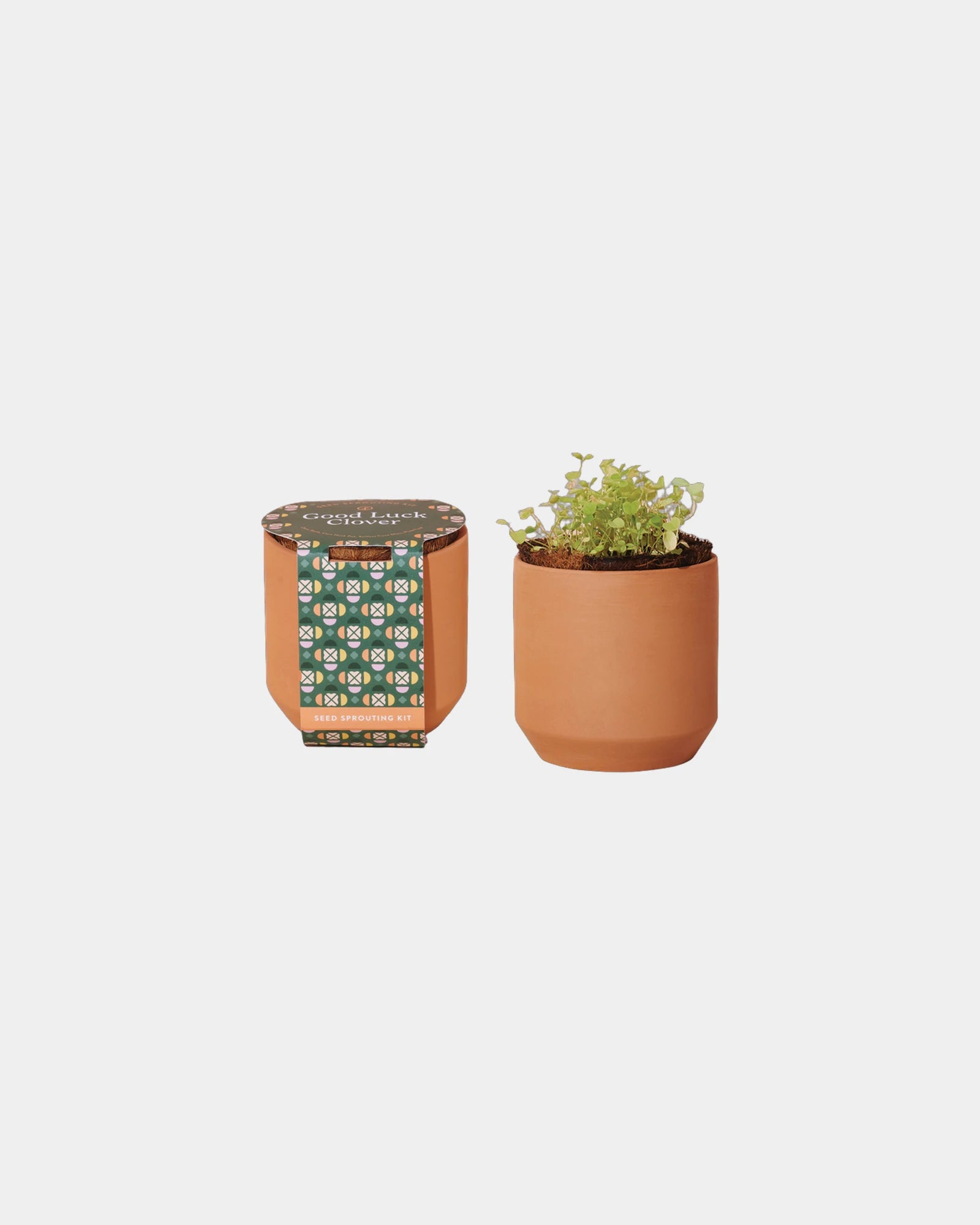 Custom terracotta grow kit good luck clover planter - 1