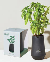 Custom hydroponic glass grow kit tumbler planter - 7