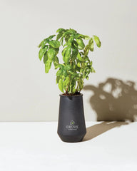 Custom hydroponic glass grow kit tumbler planter - 8