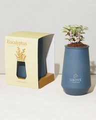 Custom hydroponic glass grow kit tumbler planter - 10