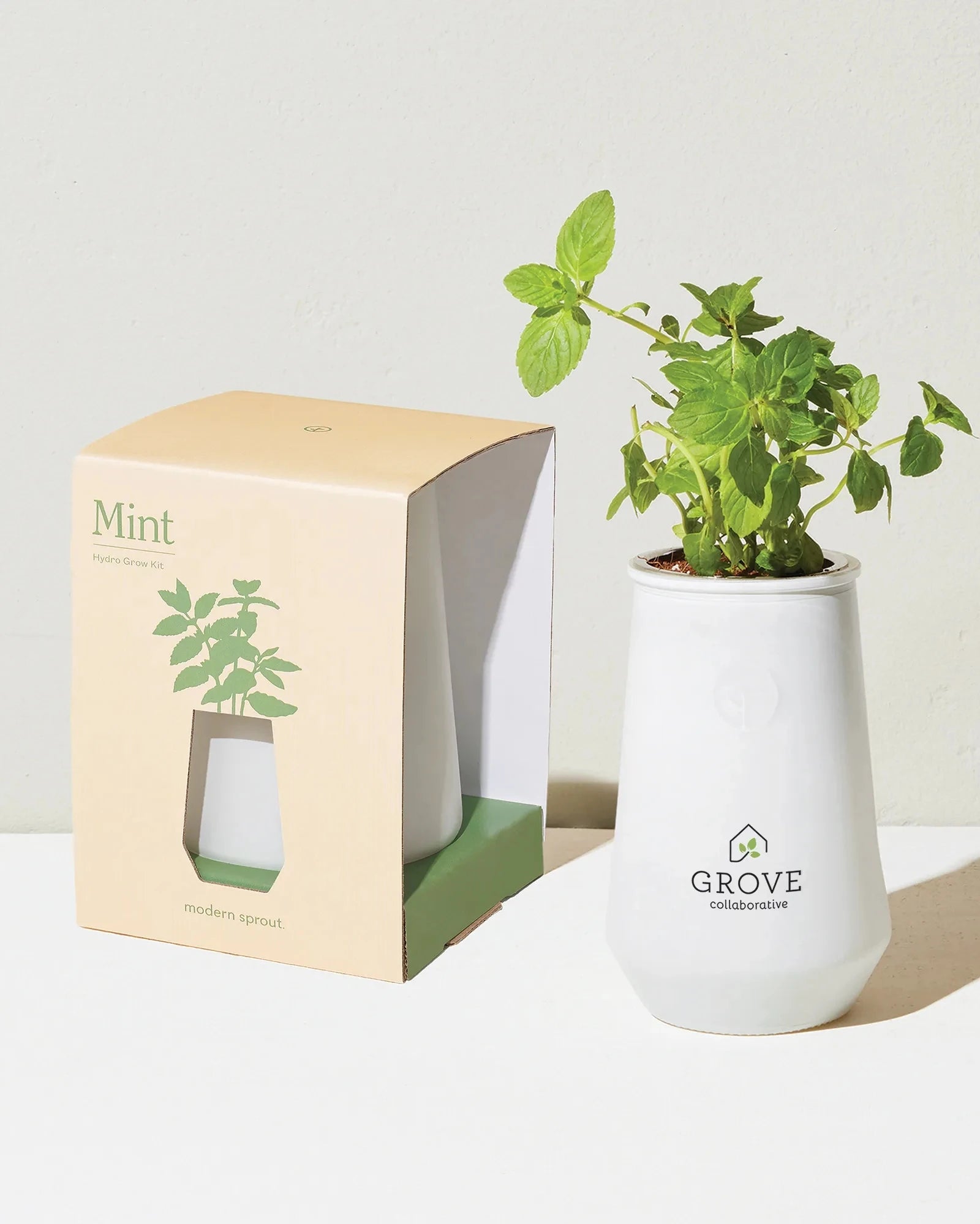 Custom hydroponic glass grow kit tumbler planter - 5