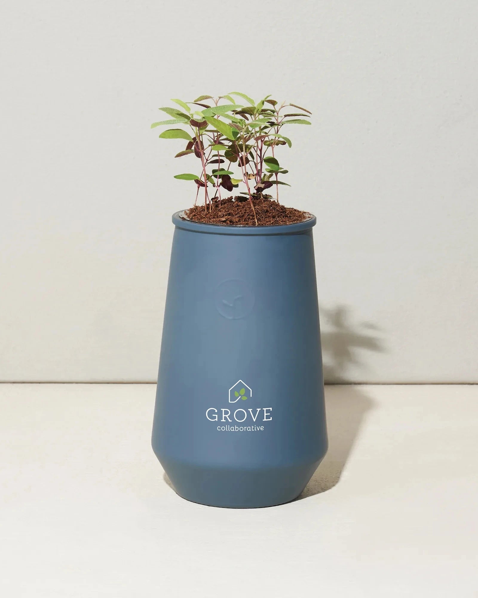 Custom hydroponic glass grow kit tumbler planter - 9