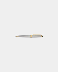 Custom metal Waterman Expert ballpoint pen - Stainless Steel - Gold Trim