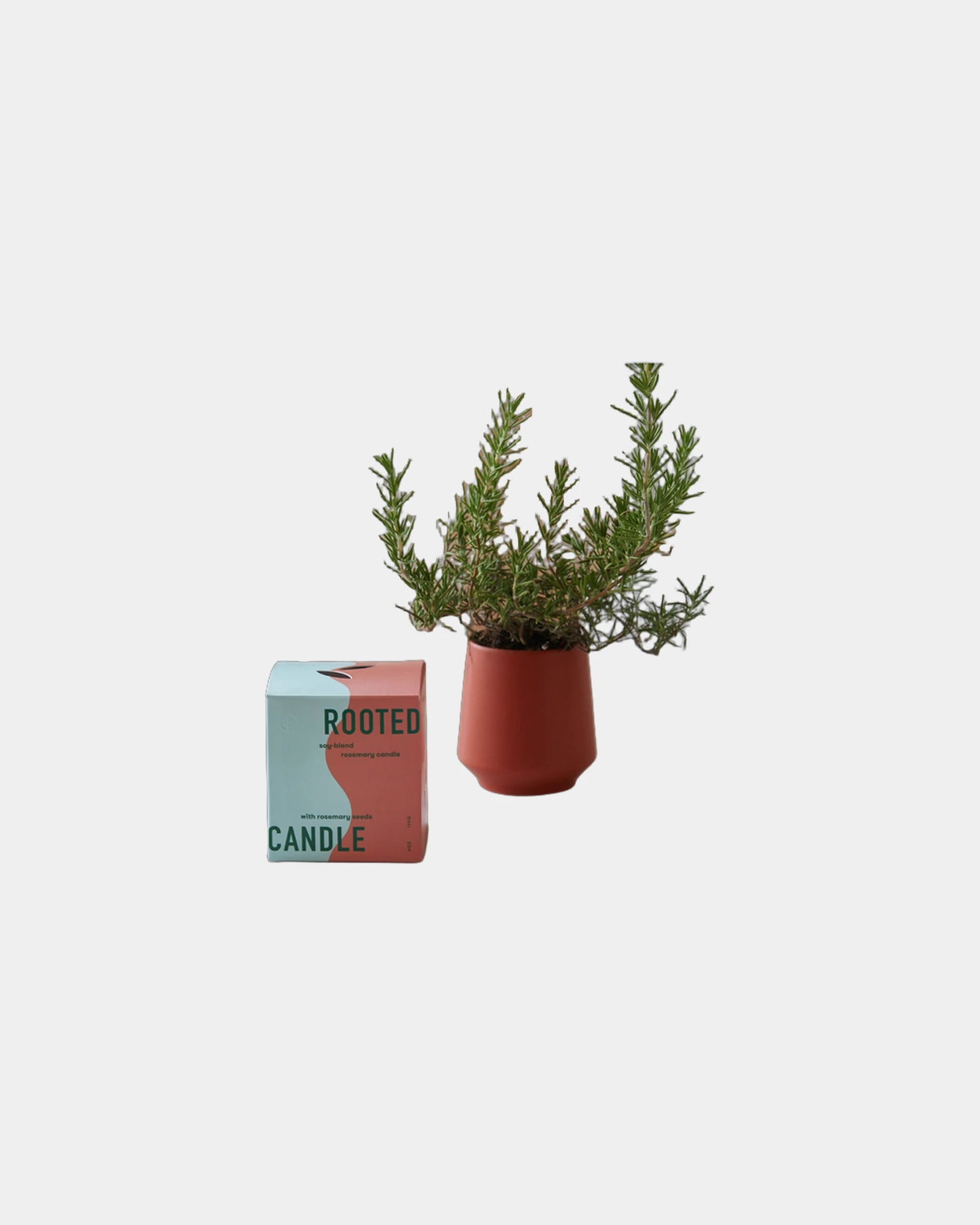 Custom soy-blend candle with ceramic vessel and seeds - 13
