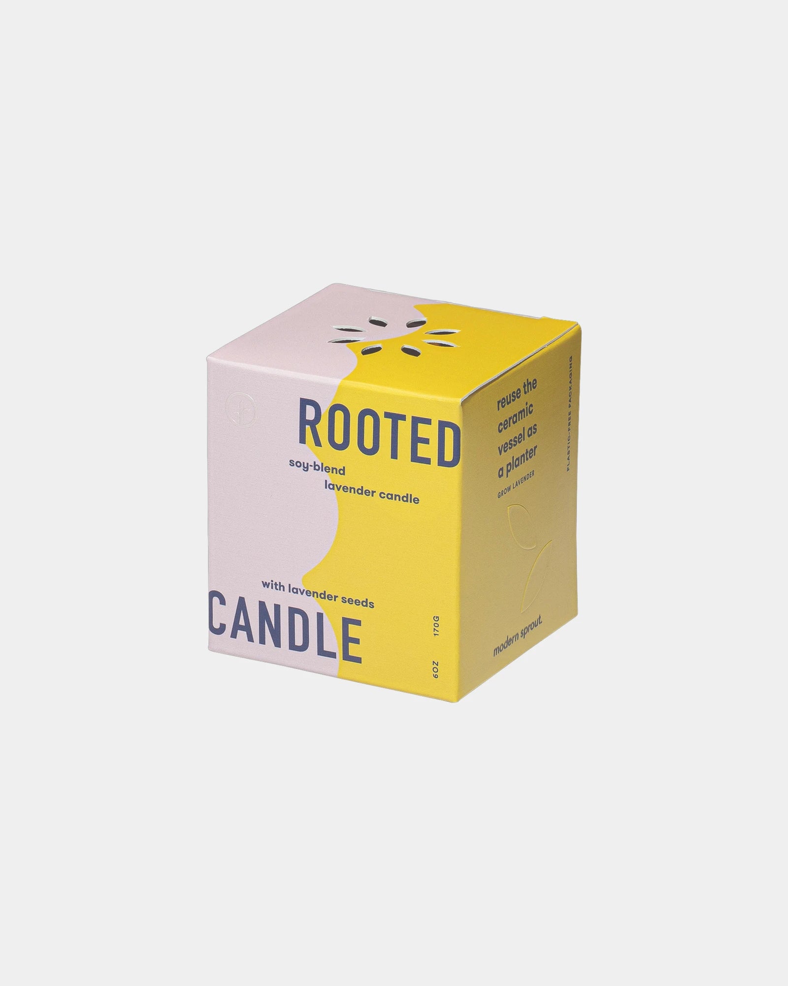 Custom soy-blend candle with ceramic vessel and seeds - 15