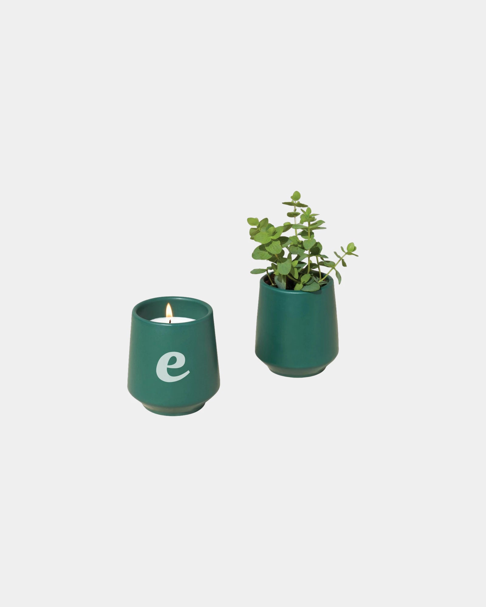 Custom soy-blend candle with ceramic vessel and seeds - 4