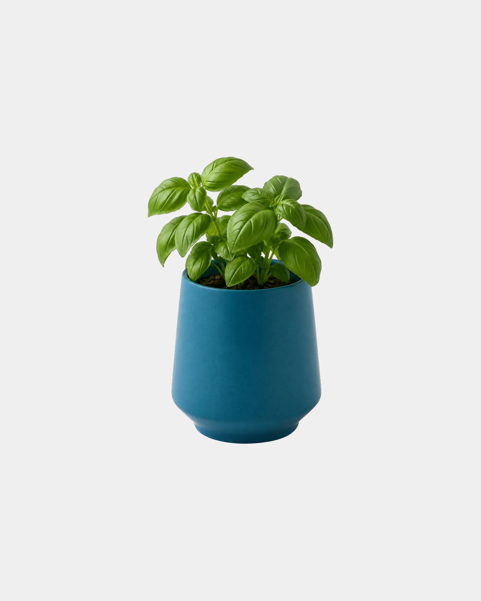 Custom soy-blend candle with ceramic vessel and seeds - 24