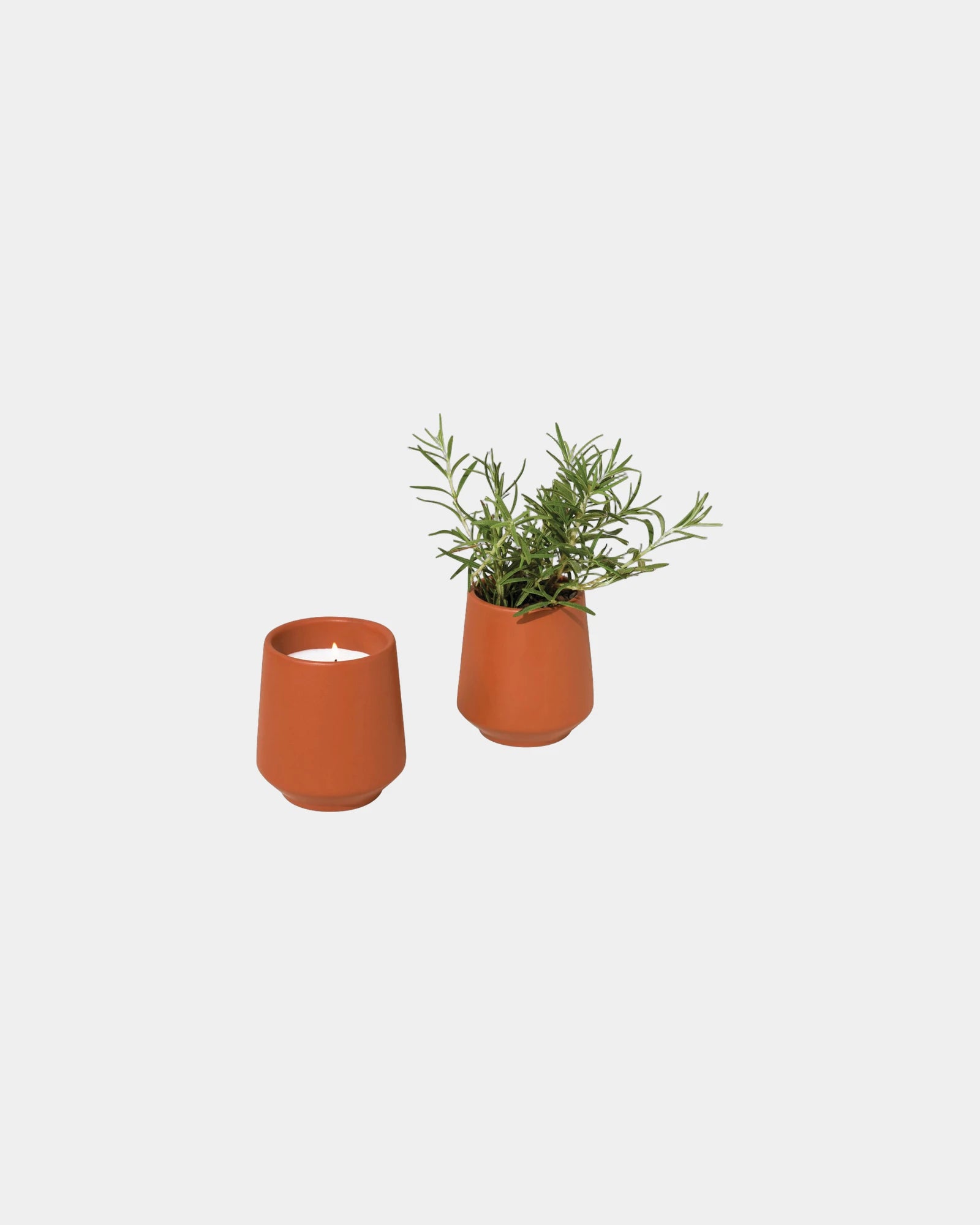 Custom soy-blend candle with ceramic vessel and seeds - Sienna-Rosemary