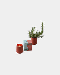 Custom soy-blend candle with ceramic vessel and seeds - 14