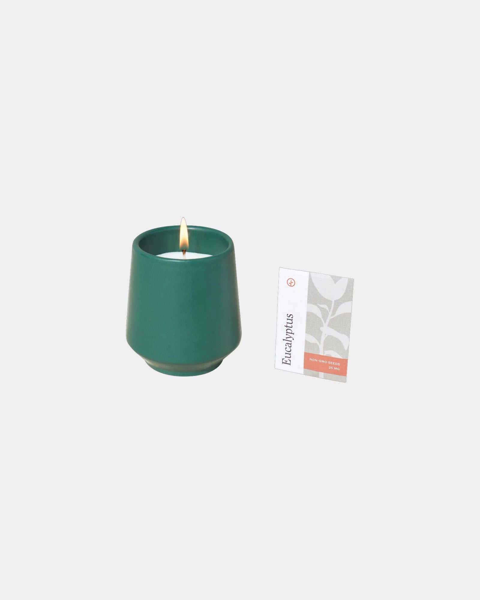 Custom soy-blend candle with ceramic vessel and seeds - 3