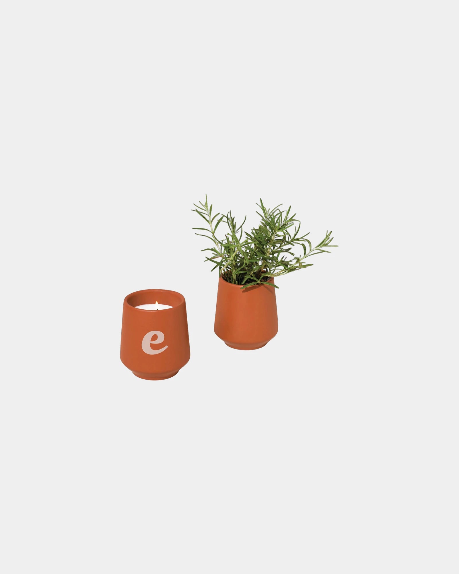 Custom soy-blend candle with ceramic vessel and seeds - 12