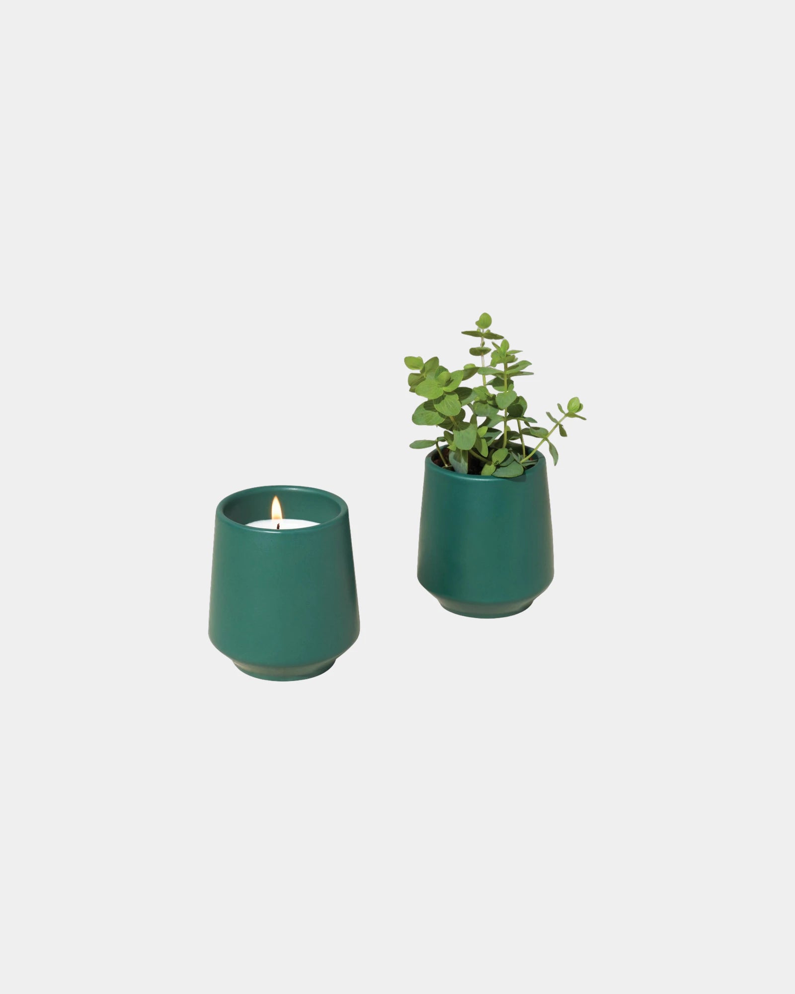Custom soy-blend candle with ceramic vessel and seeds - Dark Teal-Thyme