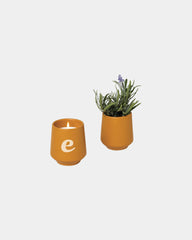 Custom soy-blend candle with ceramic vessel and seeds - 19