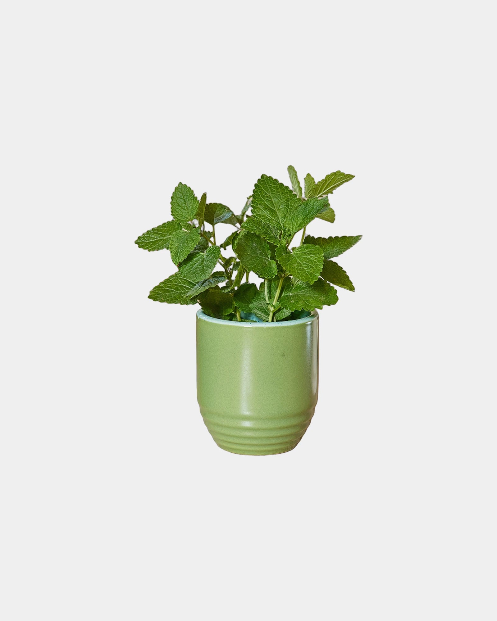 Custom soy candle planter 6 oz ceramic pot gift - 9