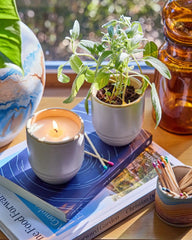 Custom soy candle planter 6 oz ceramic pot gift - 13