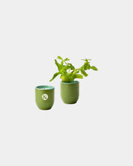 Custom soy candle planter 6 oz ceramic pot gift - 8