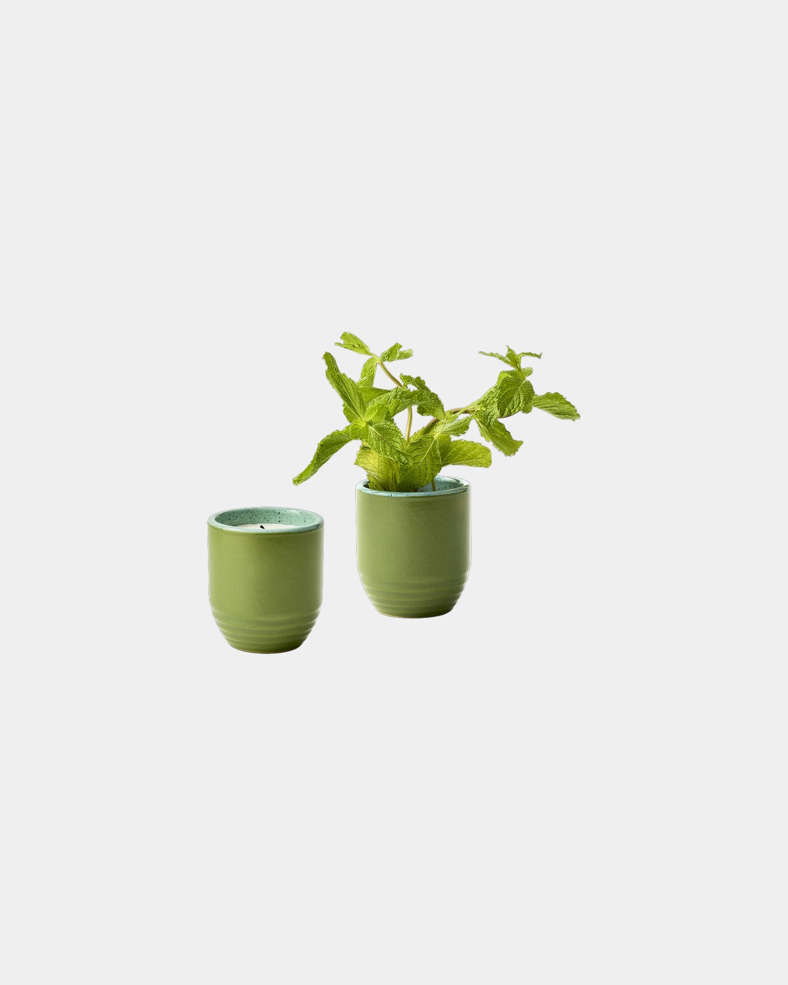 Custom soy candle planter 6 oz ceramic pot gift - In The Weeds-Mint