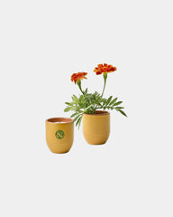 Custom soy candle planter 6 oz ceramic pot gift - 40