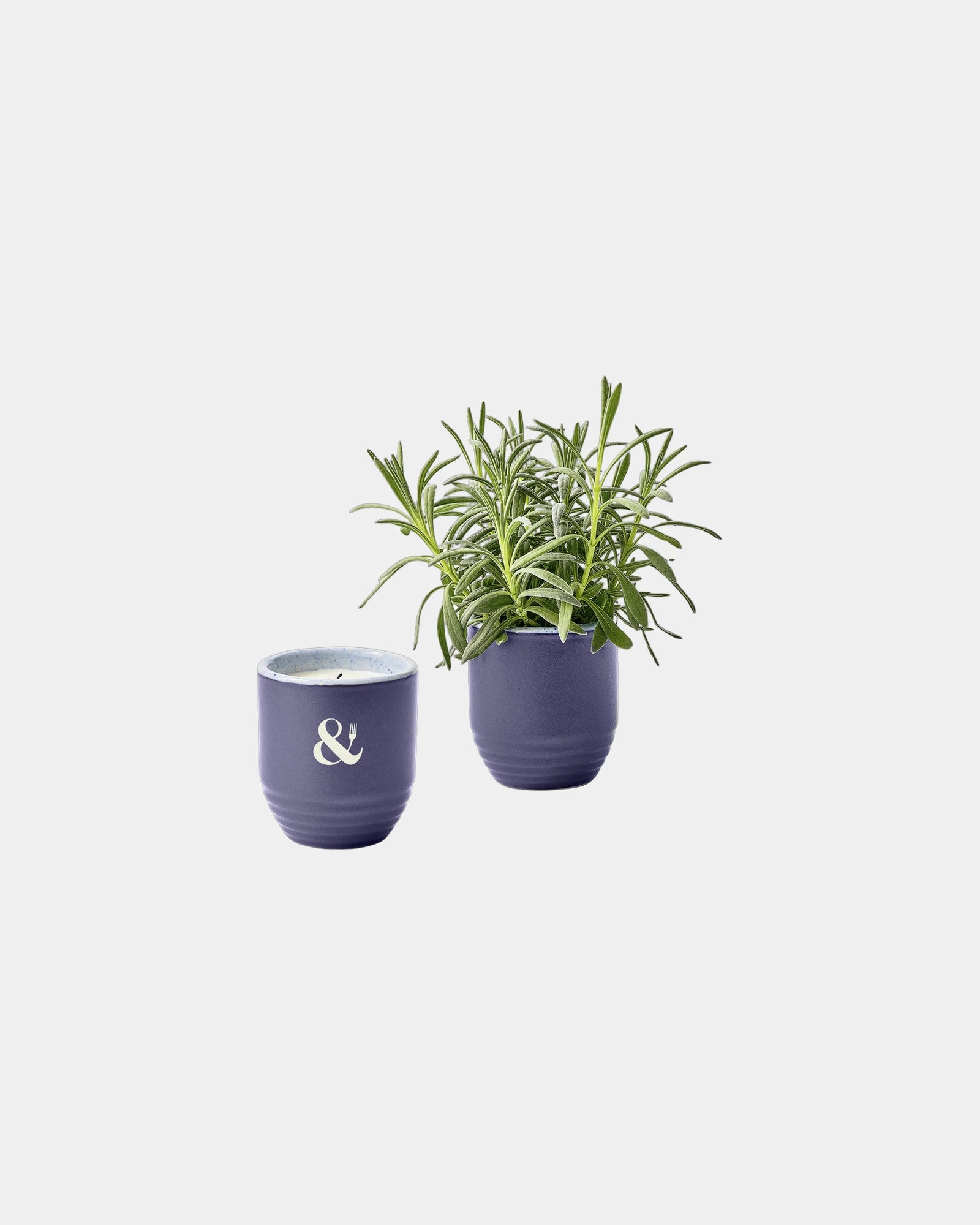 Custom soy candle planter 6 oz ceramic pot gift - 21
