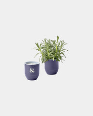 Custom soy candle planter 6 oz ceramic pot gift - 21