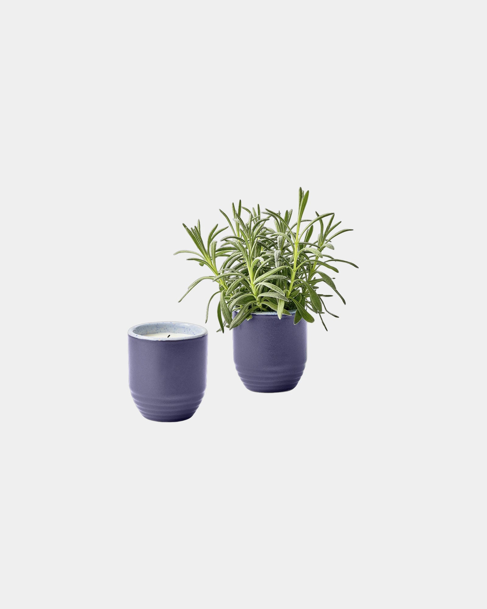 Custom soy candle planter 6 oz ceramic pot gift - Violet Hour-Lavender