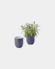Custom soy candle planter 6 oz ceramic pot gift - Violet Hour-Lavender