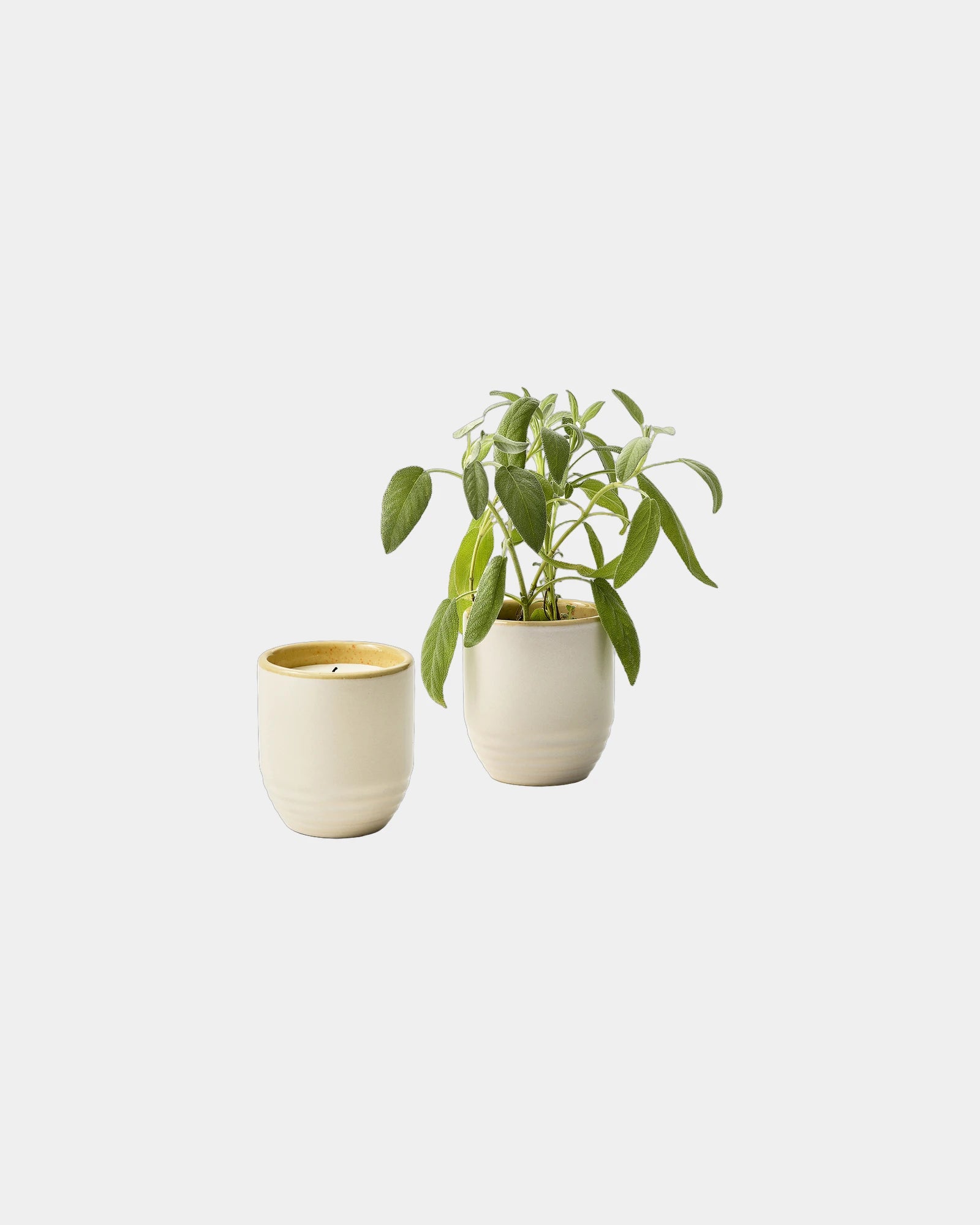 Custom soy candle planter 6 oz ceramic pot gift - Golden Moments-Sage