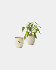 Custom soy candle planter 6 oz ceramic pot gift - 31