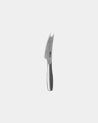 Custom stainless steel Boska cheese knife set - 4