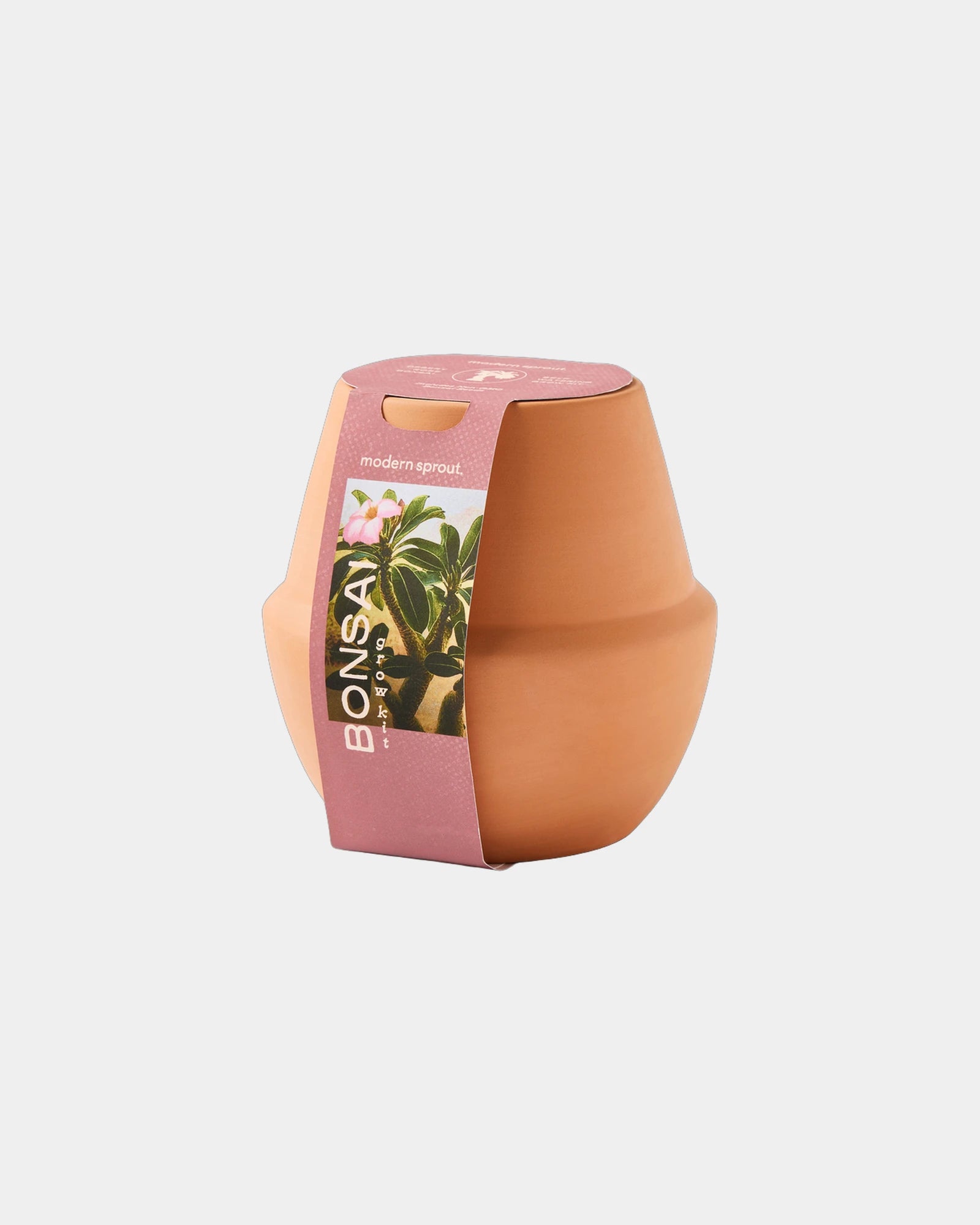 Custom ceramic bonsai grow kit terracotta planter - 4
