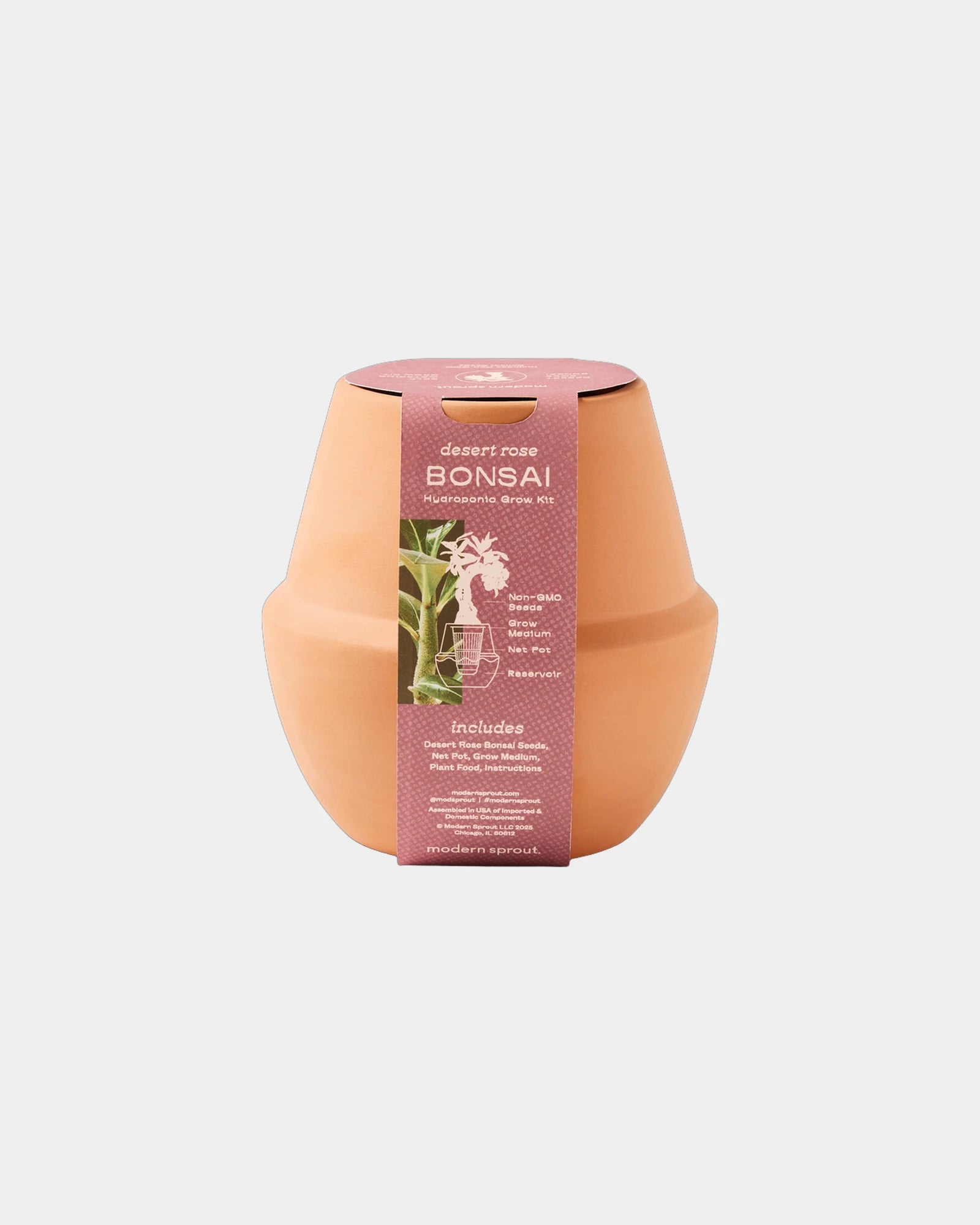 Custom ceramic bonsai grow kit terracotta planter - 2