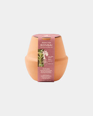 Custom ceramic bonsai grow kit terracotta planter - 2
