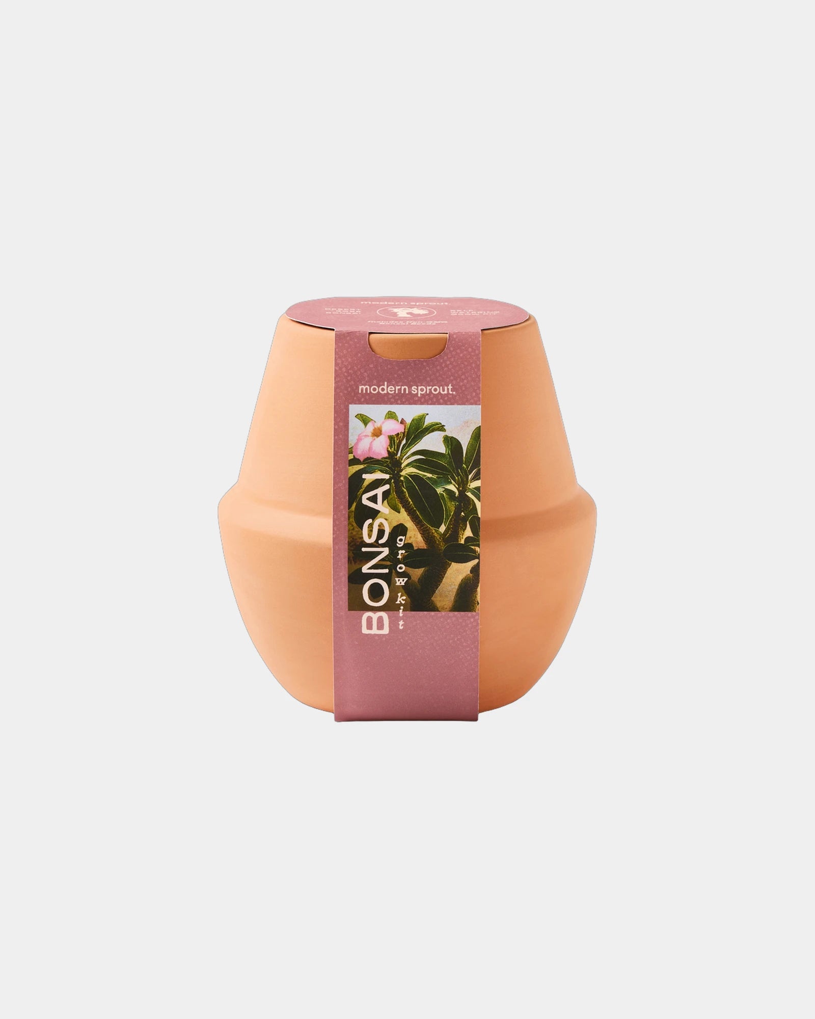 Custom ceramic bonsai grow kit terracotta planter - 3