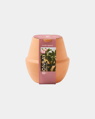 Custom ceramic bonsai grow kit terracotta planter - 3