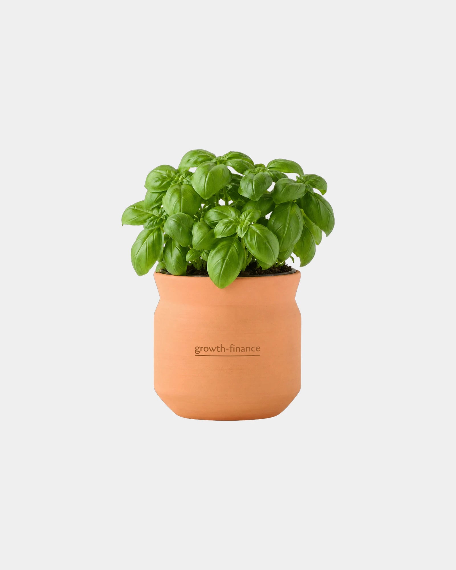 Custom terracotta grow kit gift for big congrats - 6
