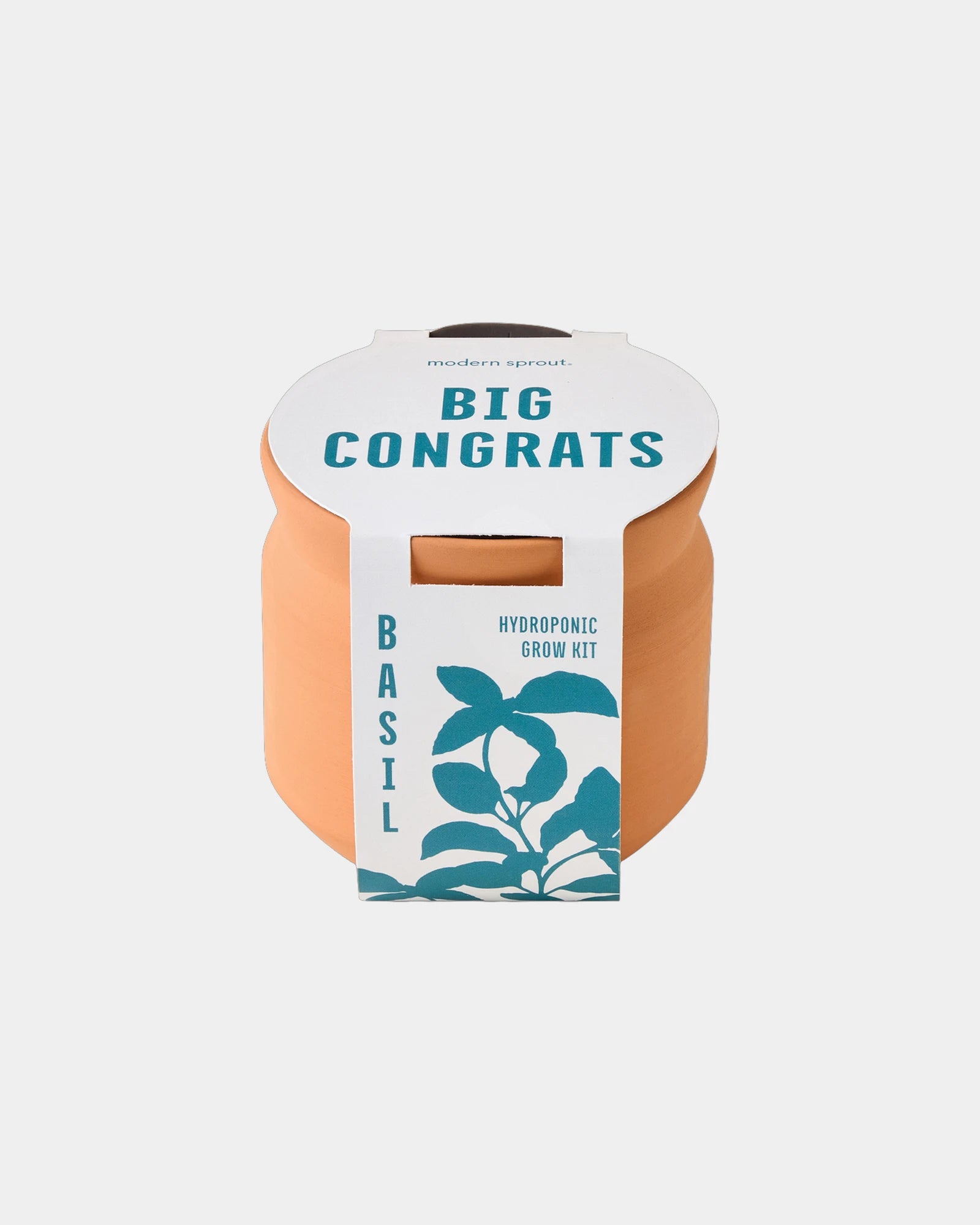 Custom terracotta grow kit gift for big congrats - 2