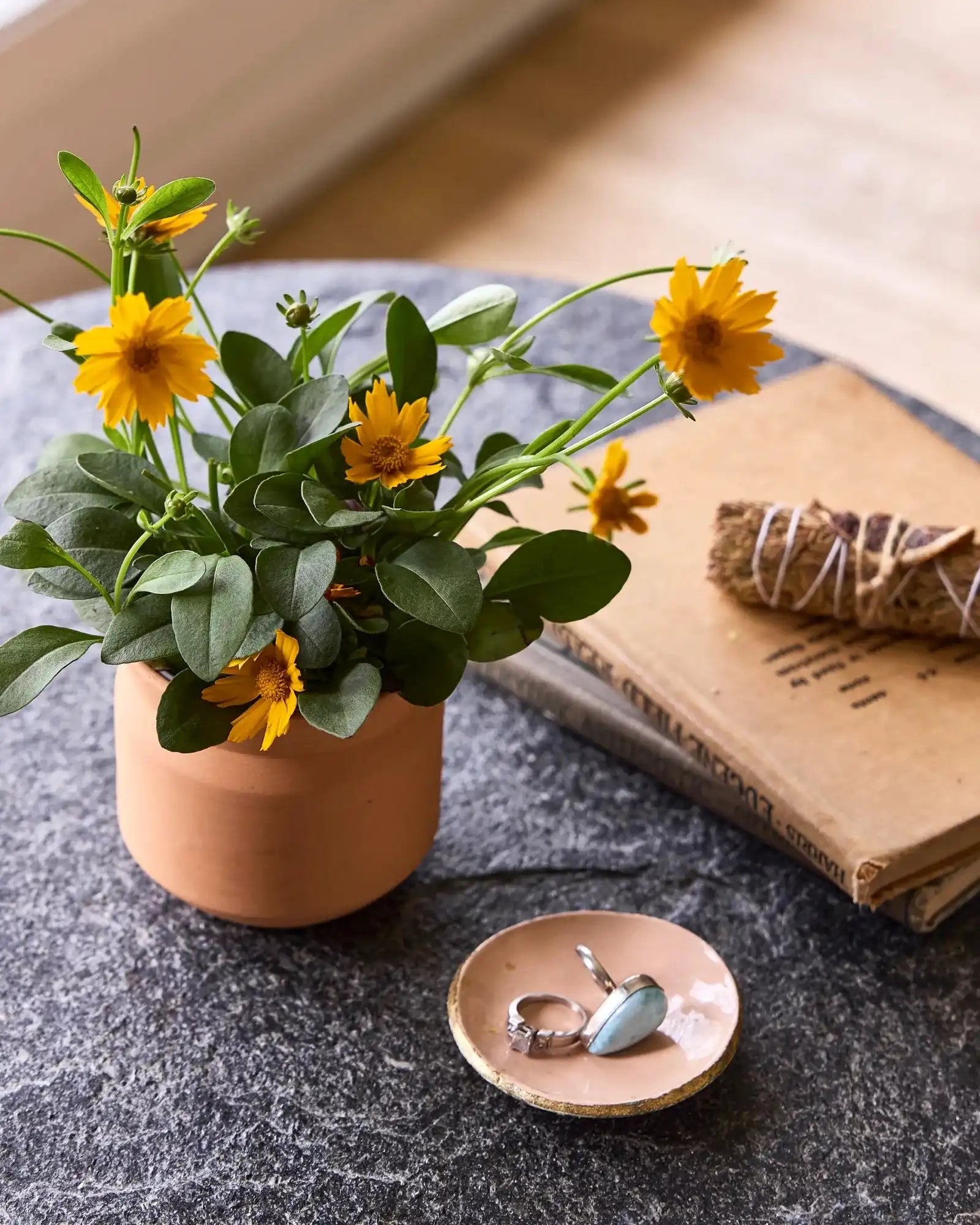 Custom terracotta thank you grow kit gift - 11