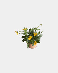 Custom terracotta thank you grow kit gift - 9