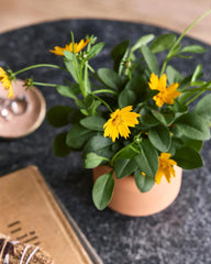 Custom terracotta thank you grow kit gift - 13