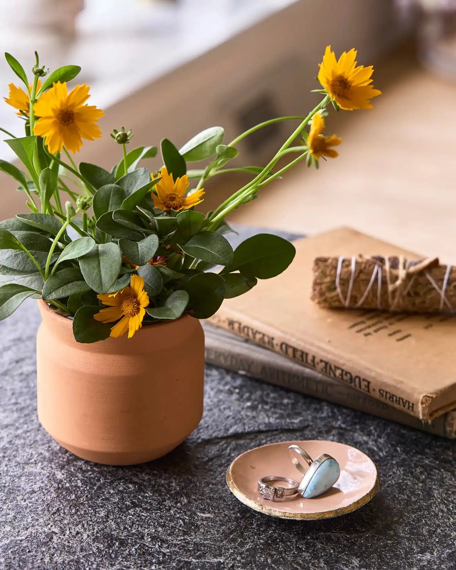 Custom terracotta thank you grow kit gift - 12