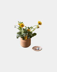 Custom terracotta thank you grow kit gift - 8